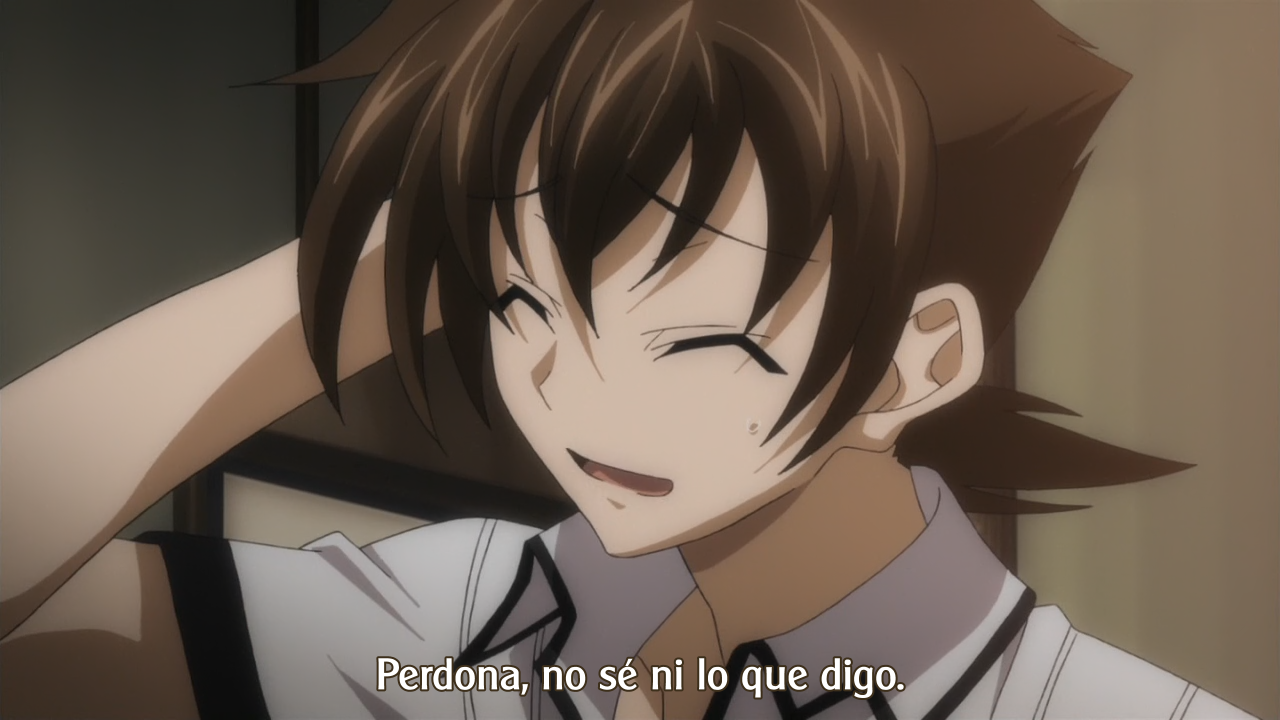 Highschool DxD New (Hoshizora)